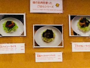 April 2018 Menu 2/2 Rice with toppings at Little Bear Cafe in Takayama