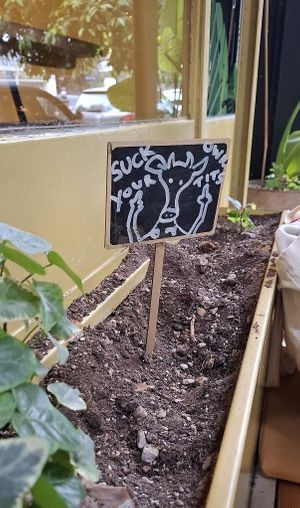  at The Vegan Vandal in Athens