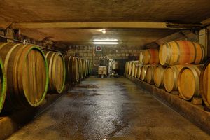 In the wine cellar at Heinrichshof Weingut in Zeltingen