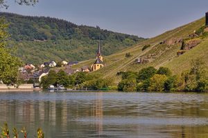 Steep vineyards in Zeltingen at Heinrichshof Weingut in Zeltingen