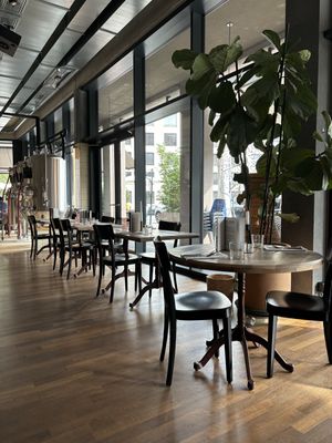   at Matt & Elly in Basel