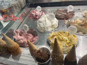 Front row vegan   at Burleigh Gelato Co in Burleigh Heads
