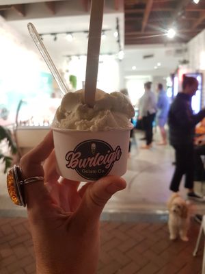 Salted Lime Vegan Sorbet  at Burleigh Gelato Co in Burleigh Heads