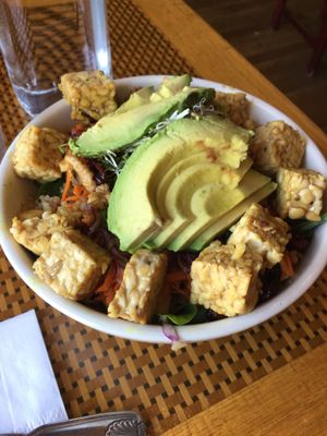 Harvest bowl with tempeh and avocado added at Organic Garden Cafe in Beverly