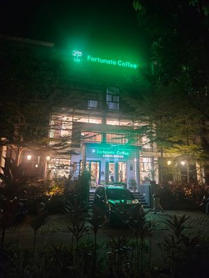 11/11/23 at LN Fortunate Coffee - Orchard Batam in 