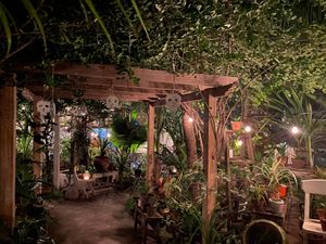  at Posada Margherita in Tulum