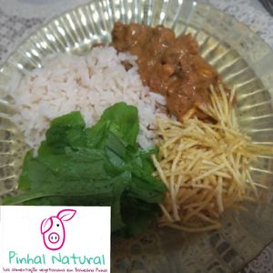 Estrogonofe de Pts graúda at Pinhal Natural in Balneario Pinhal