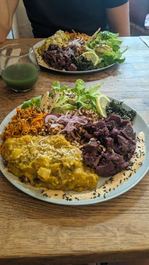  at Sol Semilla in Paris