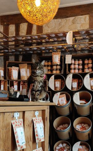 The owner. at Sol Semilla in Paris