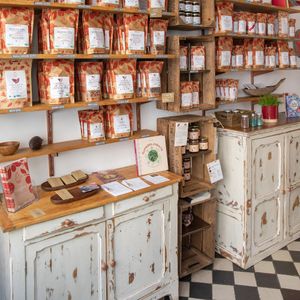 indoor restaurant at Sol Semilla in Paris