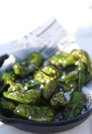 Padrón  at Boat House Bar in Mallorca