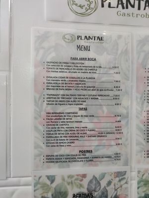 Menú at Plantae Gastrobar  in Tenerife