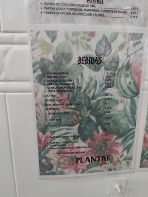 Bebidas at Plantae Gastrobar  in Tenerife