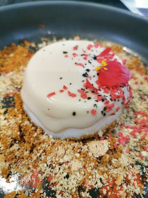 Pannacotta cheesecake at Plantae Gastrobar  in Tenerife