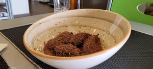  at Plantae Gastrobar  in Tenerife