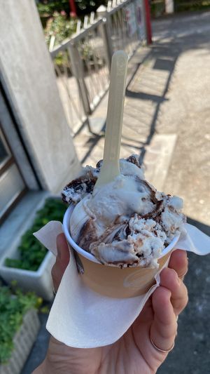 Cremino  at La Bottega Del Gelato in Bolzano