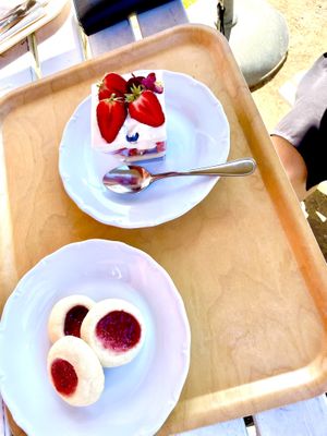 Vegansk gräddbakelse och rosenmunnar💞 at Café Zorn in Mora