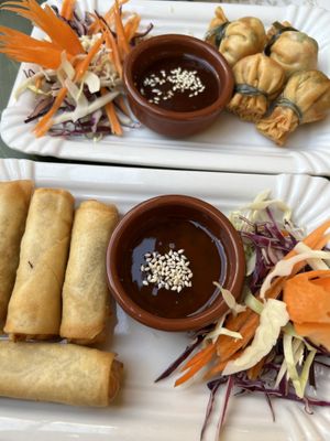 Starters: spring rolls and money bags  at Yoya's Thai Kitchen in Albufeira