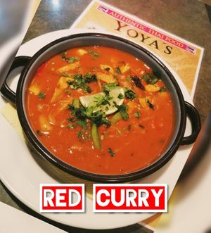 Vegan Red Thai Curry! at Yoya's Thai Kitchen in Albufeira