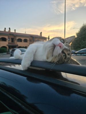  at Sottobosco Bistrot in Grosseto