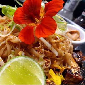  at Front Bar in Munxar