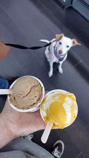 Izquierda (no vegano de avellana) derecha (vegano de tarta de queso y mango) at Turrones Helados Federico Verdú in Gijon