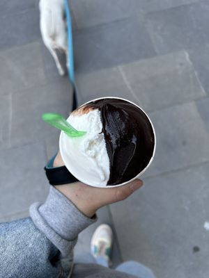 Helado de coco y helado de chocolate negro    at Turrones Helados Federico Verdú in Gijon