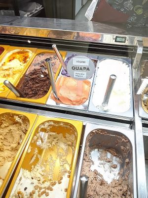 vegan flavours clearly labelled at Turrones Helados Federico Verdú in Gijon