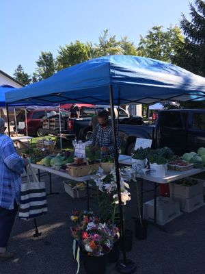 Vendor from Voytko Farm at Geauga Fresh Farmers Market in Chagrin Falls