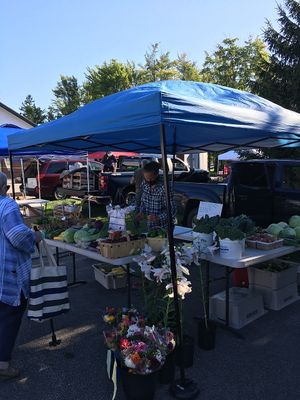 Market vendor. at Geauga Fresh Farmers Market in Chagrin Falls