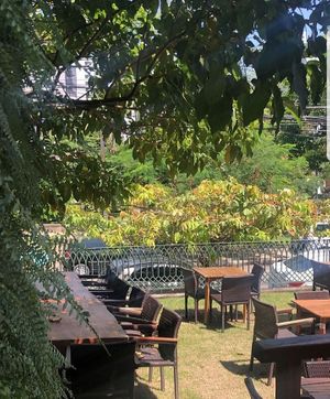 Green area where we can sit and eat  at Pellicano Caffè in Recife