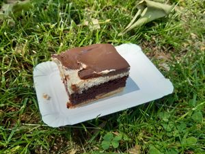 Tiramisu at the park opposite Glückstein at Glückstein in Mannheim