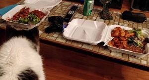  at Sham - Mont Royal in Montreal