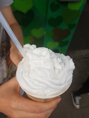 Vanilla milkshake at Veganbar in Bremen