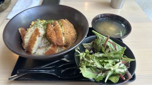 Potato katsu curry don bowl  at Wellness Sushi in Denver