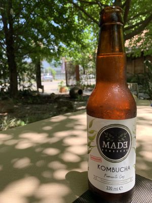 Kombucha at GOGO in Fethiye