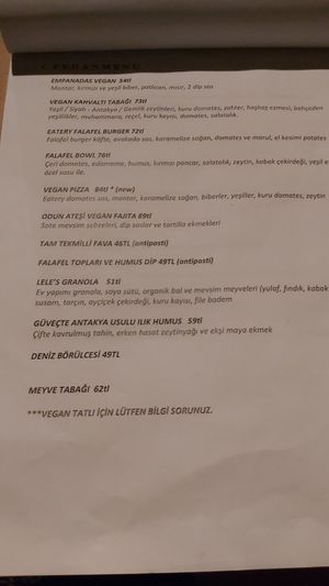The vegan menu (We speak turkish so had the turkish card) at GOGO in Fethiye