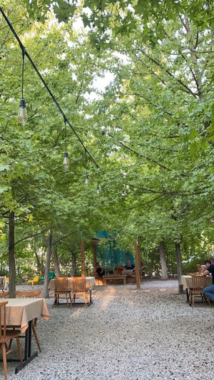 What an I’m amazing recommendation. Pizza night is also amazing on a Thursday and Saturday! They do an amazing vegan vegetable pizza! It’s heavenly!  110% recommend this place! at GOGO in Fethiye