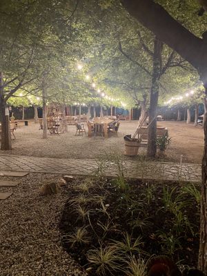 The place!  at GOGO in Fethiye