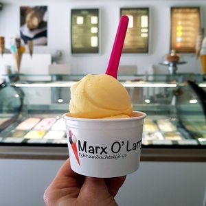 sorbet ice cream at Marx O'Larry's in Castricum