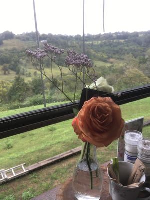 View from table at Elements Cafe in Montville