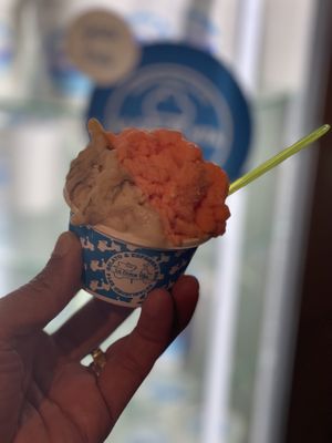 Vegan Hazelnut and Blood Orange (not a good combo)  at La Dolce Vita in Oakville