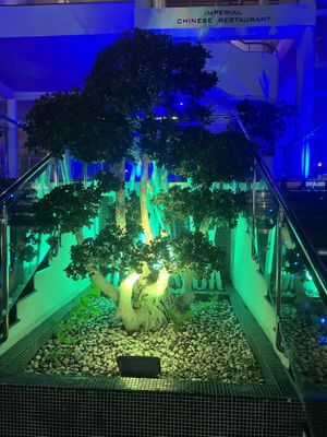 Outside (also to the side-> elevator= wheelchair accessible 🤍)   at Imperial Chinese in Paphos