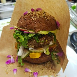  at Camping Noorderloo in Groningen