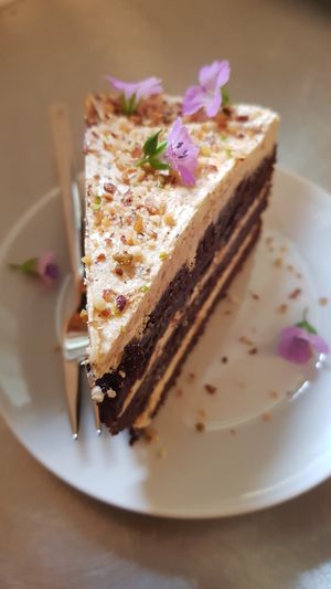  at Camping Noorderloo in Groningen