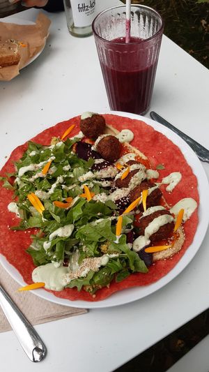  at Camping Noorderloo in Groningen