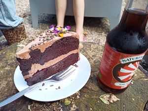 Chocolate cake at Camping Noorderloo in Groningen