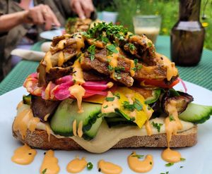 Oesterzwam gyros op toast met hummus at Camping Noorderloo in Groningen