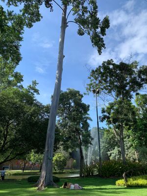  at KURUMI in Da Nang