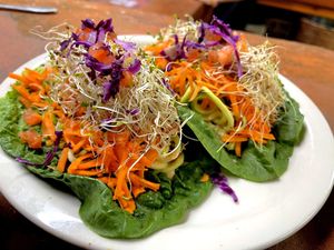   at Happy Healthy Human in Indian Harbour Beach